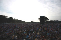 norfolk